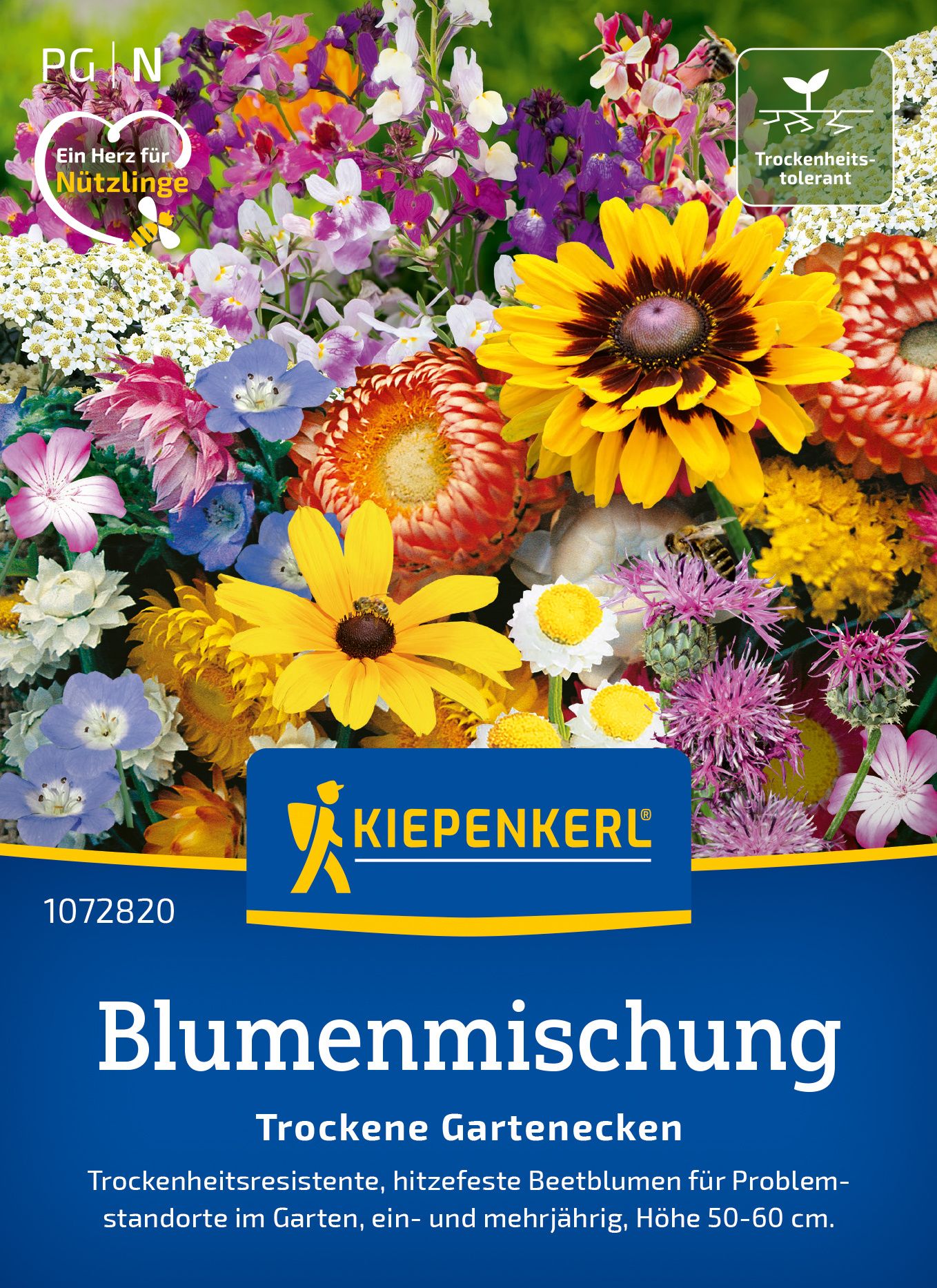 Blumenmischung Trockene Gartenecken PG-N Werbung, Plakat, Blume, Pflanze, Gänseblümchen
