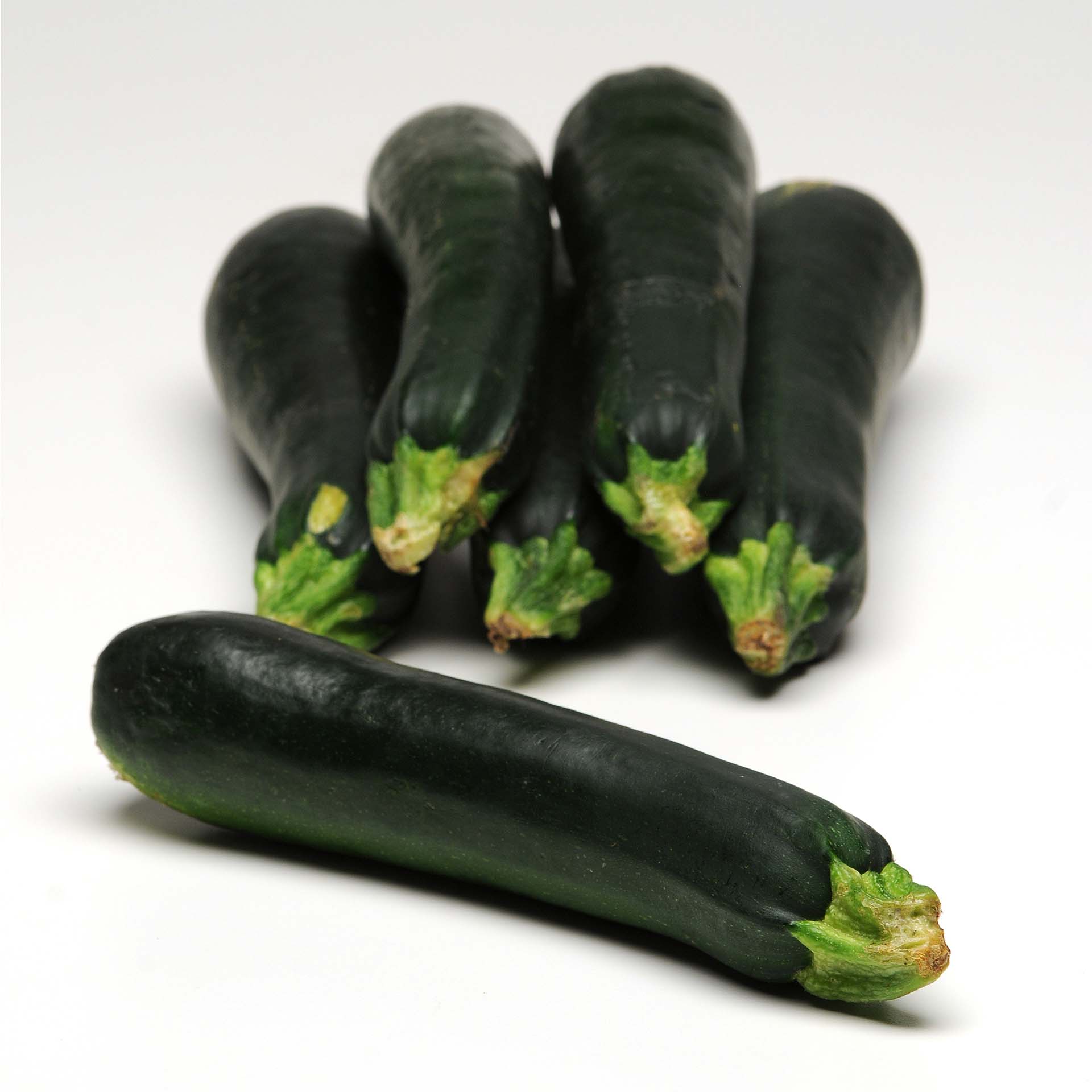 BIO Balkon-Zucchini, Zucchini, Calabacín, Grün, Gemüse, Kürbis