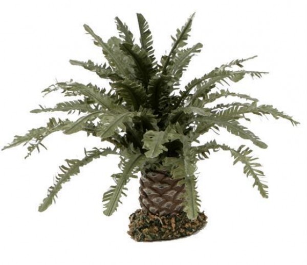 Krippenbotanik Palme 16cm zur Gestaltung der Krippenlandschaft