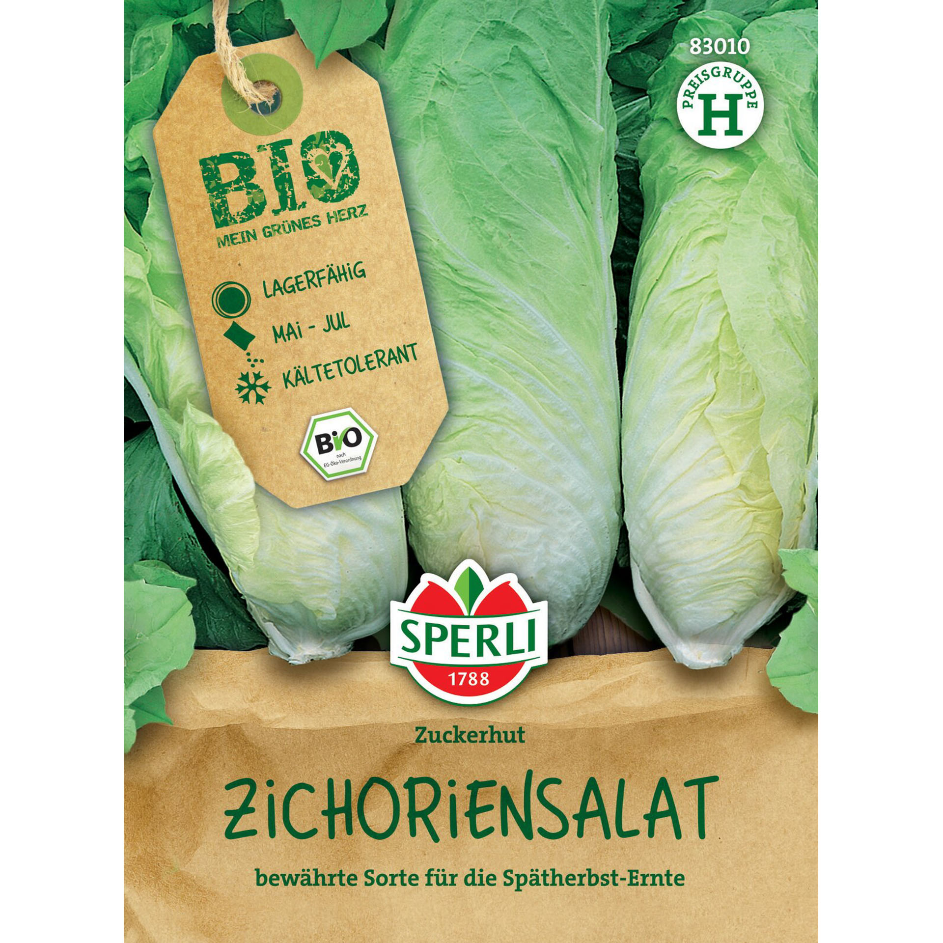 BIO Zichoriensalat 'Zuckerhut', Gemüsesamen Essen, Produzieren, Grünes Blattgemüse, Pflanze, Gemüse