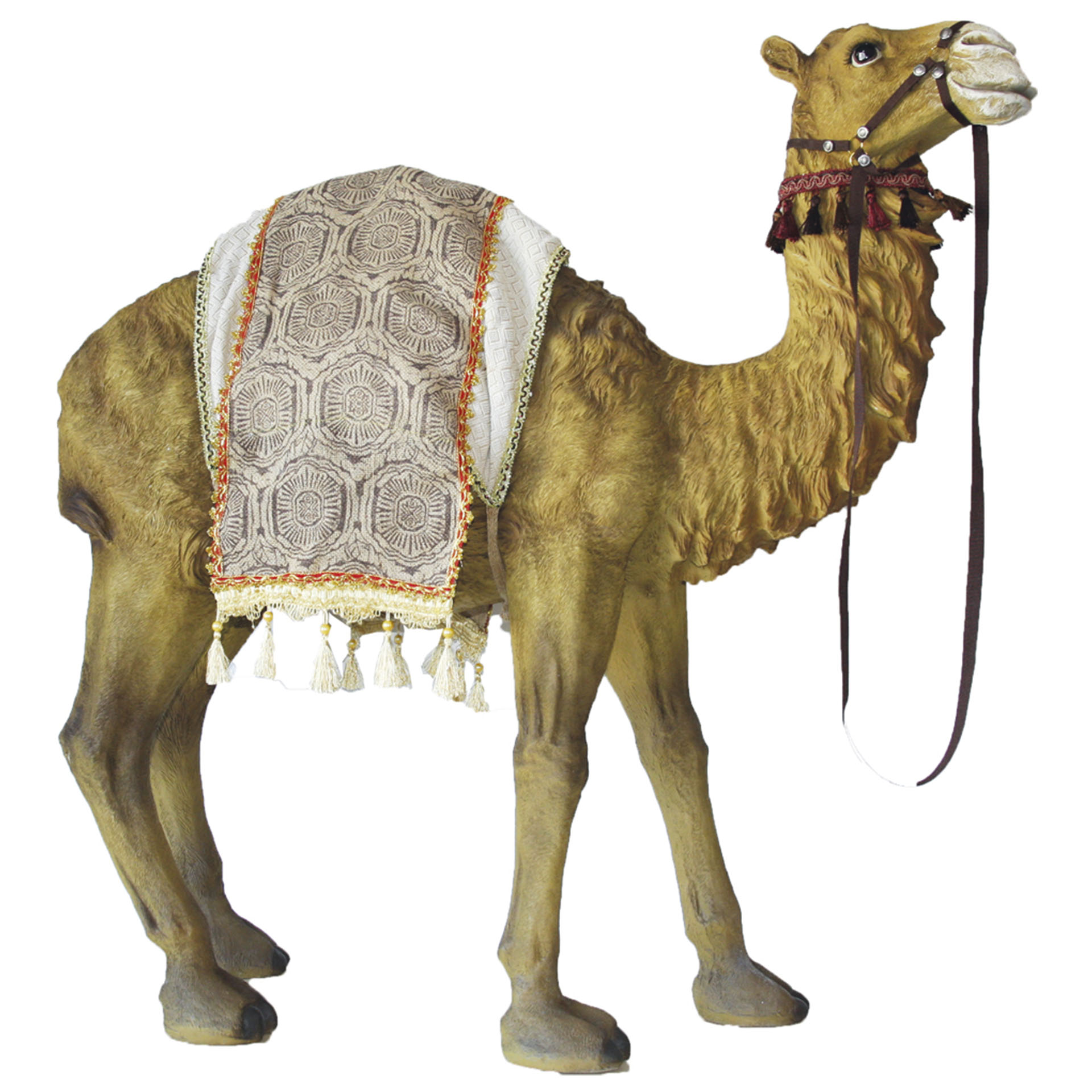 stehendes Kamel mit hellbeige gemusterter Fransendecke