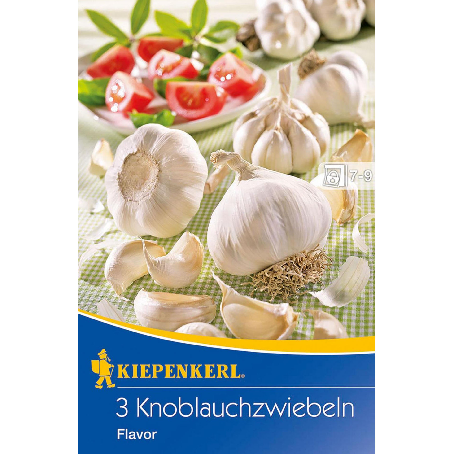 Knoblauchzwiebeln Flavor-1 Gemüsezwiebeln Knoblauchzwiebeln Steckzwiebeln Knollen Gemüsegarten