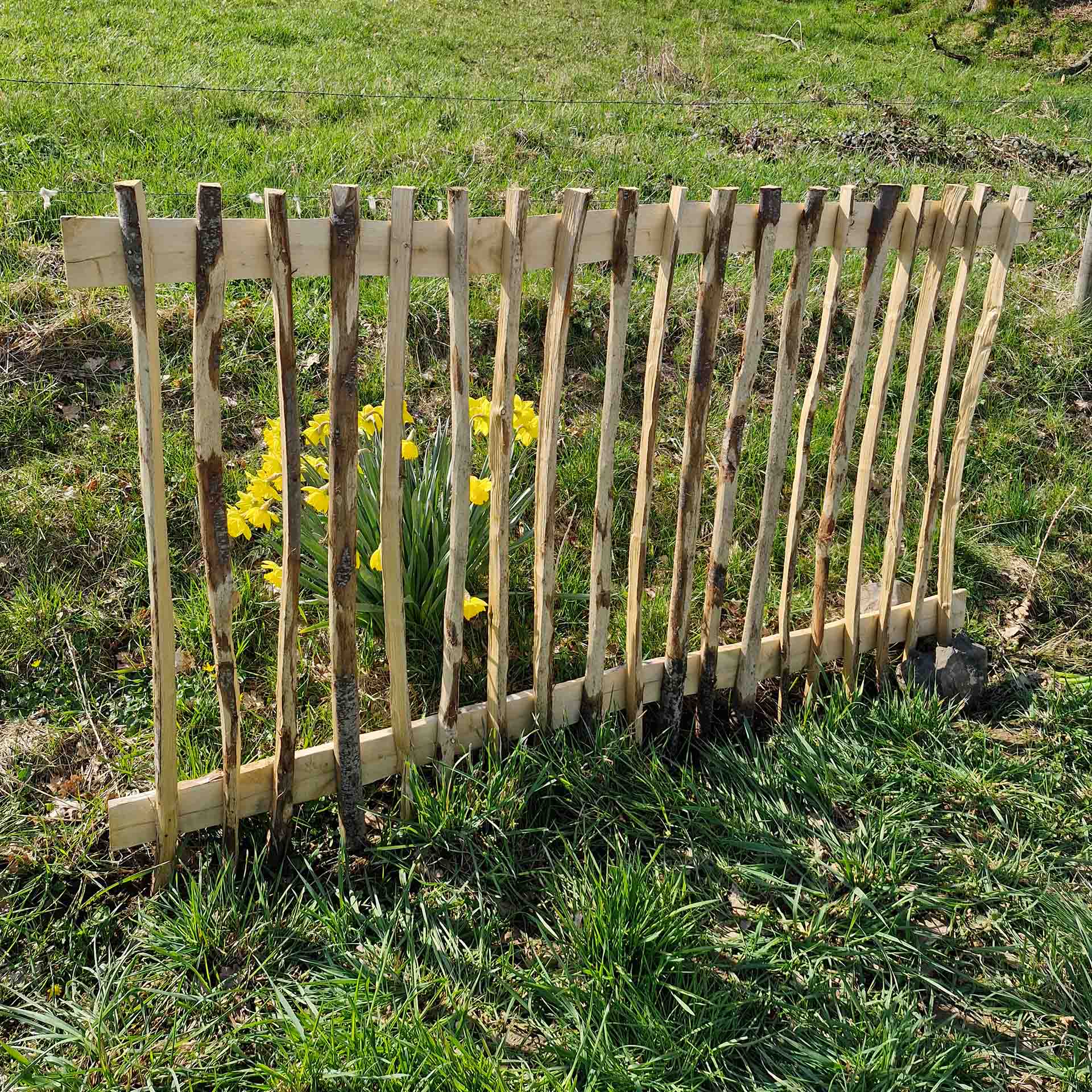 zaunelement mit stumpfen staketen auf Wiese