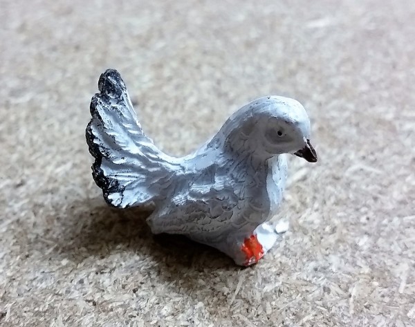 Taube weiß rechts schauend