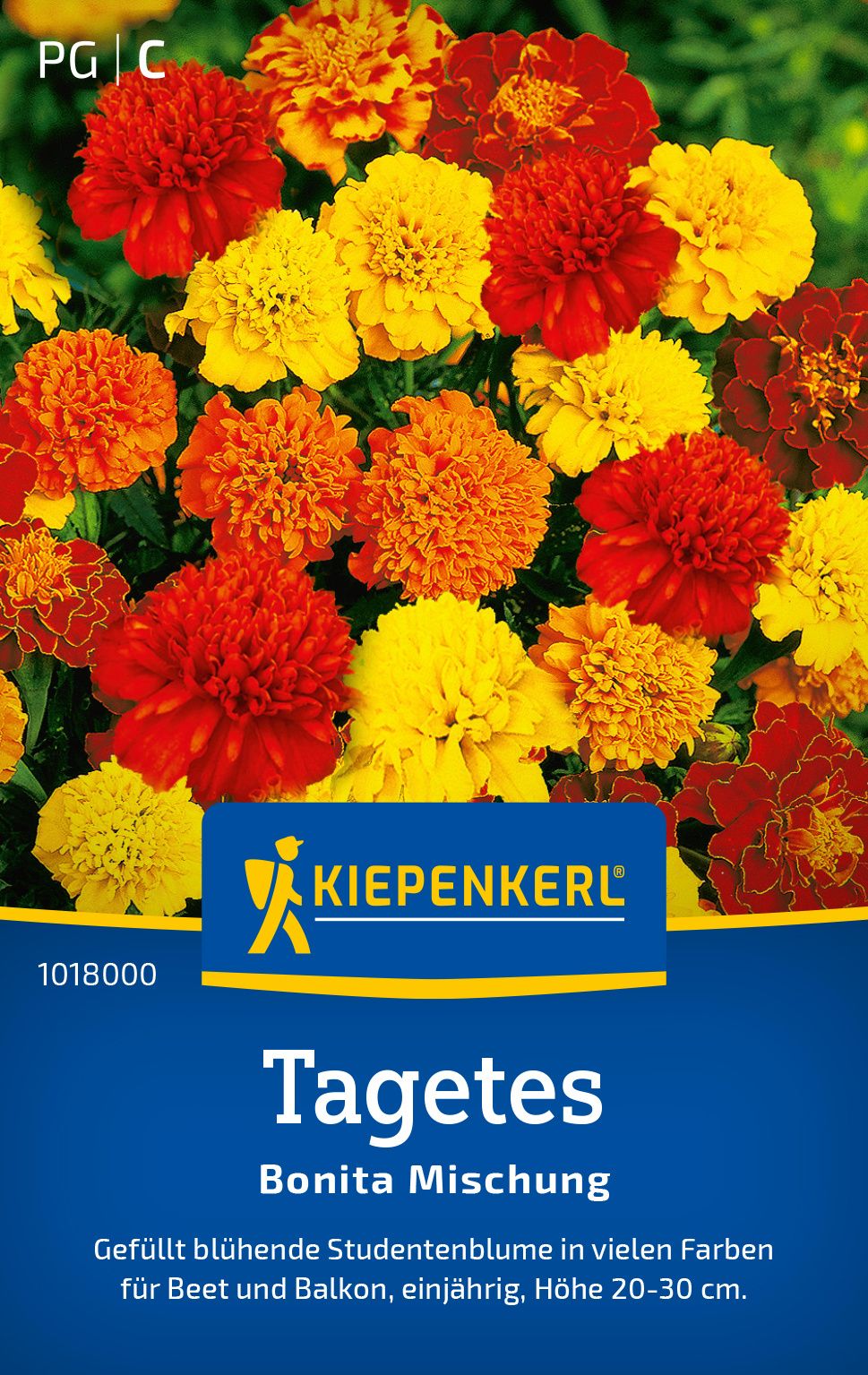 Tagetes Bonita-Mischung PG-C Werbung, Plakat, Dahlie, Blume, Pflanze