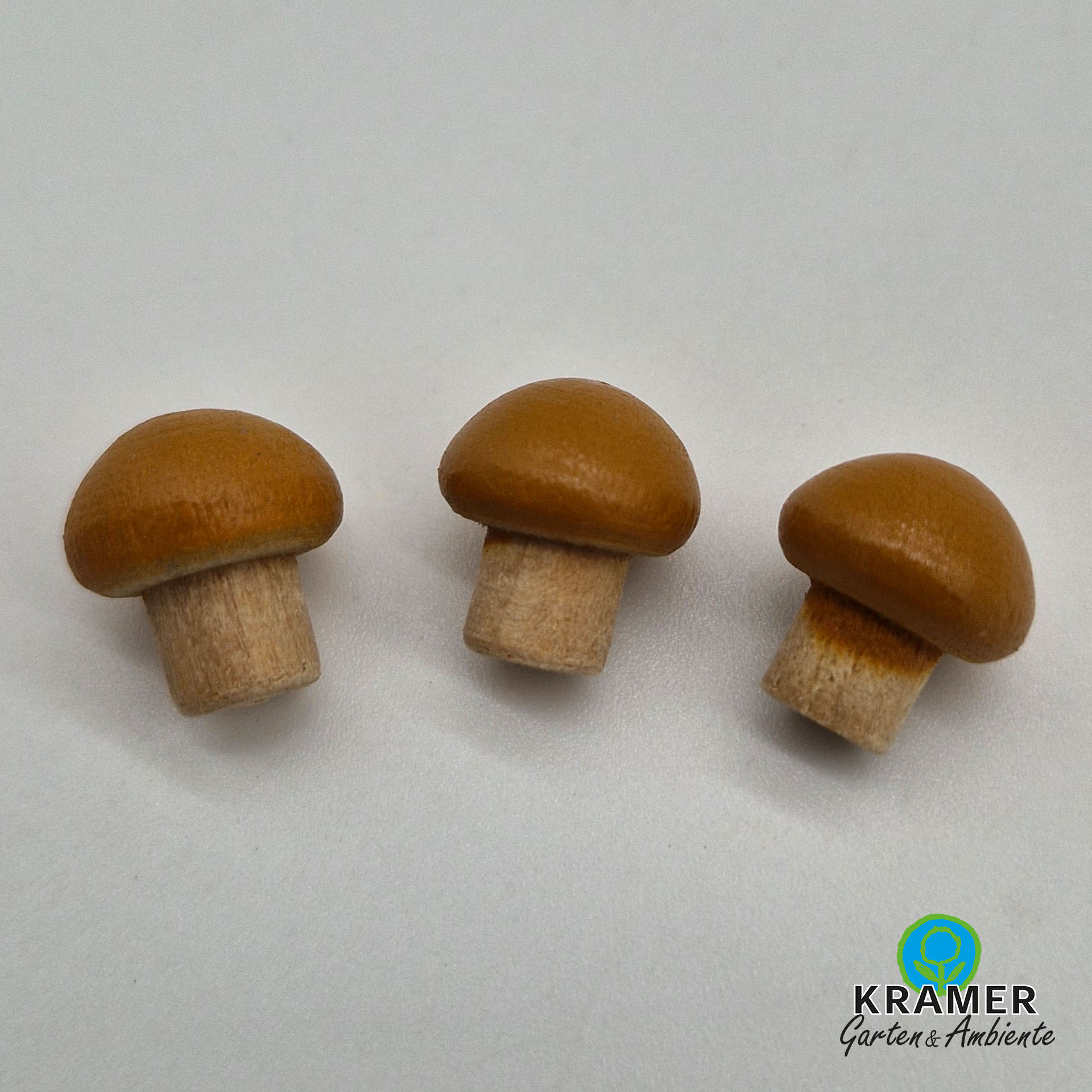 kleine bräunliche Pilze, Pilz, Champignon, Holzstiel, Brauner Deckel, Miniatur