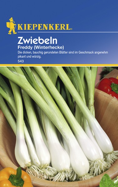 Zwiebeln Freddy Winterhecke Zwiebeln Freddy Winterhecke